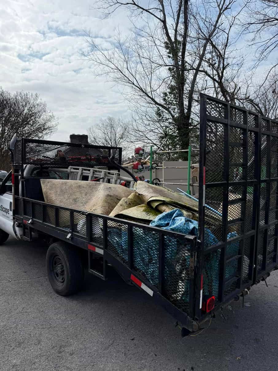 Carpet Removal